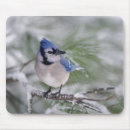 Search for depth of field mousepads Fauna