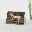 Search for horse breeding cards Mare