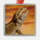 Search for reptiles christmas tree decorations Wildlife