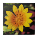 Search for daisies tiles Women
