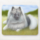 Search for spitz electronics Breed