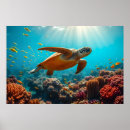 Search for underwater posters Nature