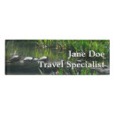 Search for tortoise office supplies Nature