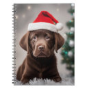 Search for chocolate labrador gifts Fun