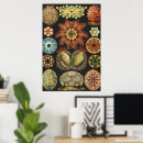 Search for vintage biology posters Scientific illustration