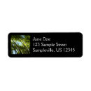 Search for bamboo return address labels Forest