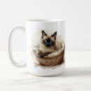 Search for siamese blue mugs Kitten
