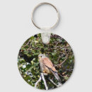 Search for kestrel key rings Bird
