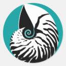 Search for nautilus shell stickers White