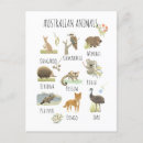 Search for animals postcards Kangaroo