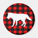 Search for faller magnets Red and black plaid