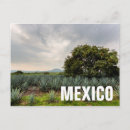 Search for distiller postcards Distillation