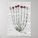 Search for carnations posters Antique