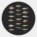 Search for species stickers Kids