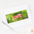 Search for maple leaves stickers Leaf