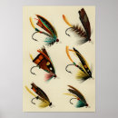 Search for flyfisher posters Angling
