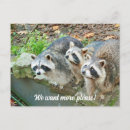 Search for funny wildlife postcards Wild animal