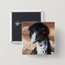 Search for emu badges Nature