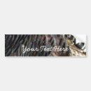 Search for design bumper stickers Abstract