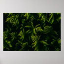 Search for yellow leafs posters Green