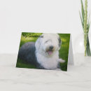 Search for social networking cards Twitter