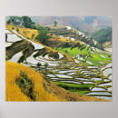 Search for cultivation posters Nobody