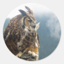 Search for horned owl stickers Nature