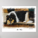Search for colly art Collies