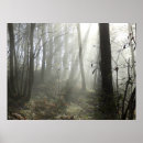 Search for misty trees posters Nature