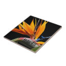 Search for orange background tiles Botanical