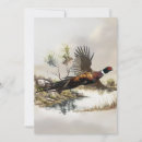 Search for pheasant invitations Nature