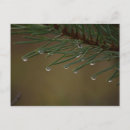 Search for dropped postcards Droplets