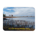 Search for marshes magnets Outdoor