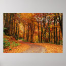 Search for colorful fall posters Foliage