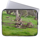 Search for kangaroo electronics Australia