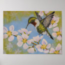 Search for ruby throated posters Flowers