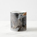 Search for wild koala mugs Bear