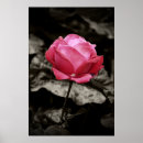 Search for balck posters Floral