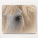 Search for dapple mousepads Horse