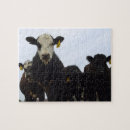 Search for cow puzzles Bovine