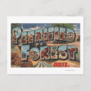 Search for large postcards Arizona
