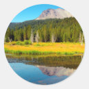Search for dead tree stickers Landscape