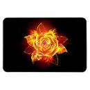 Search for flames rectangular magnets Orange