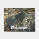 Search for tropical lizard Animal