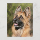 Search for deutscher postcards Headshot