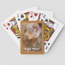 Search for funny photography games Chicken