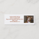 Search for apbt Terrier