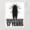 Search for entomology postcards Cicadas