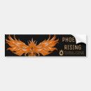 Search for rising bumper stickers Phoenix