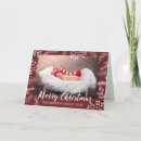 Search for winter christmas cards Rustic
